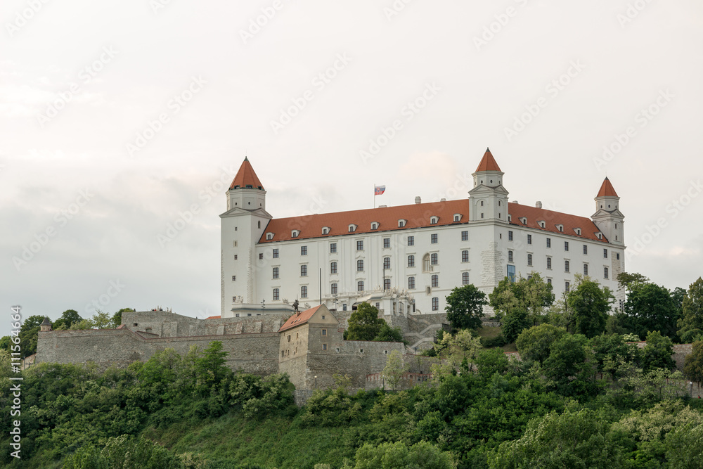 Bratislava castle closeup