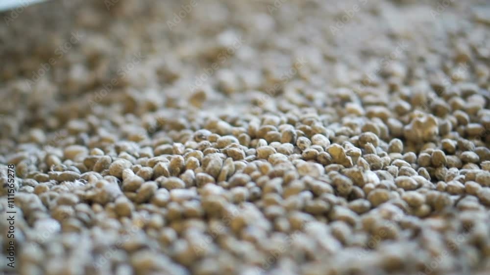 Raw black soy bean fermented with salt in the clay pot to make soy sauce Raw black soy bean fermented with salt in the clay pot to make soy sauce