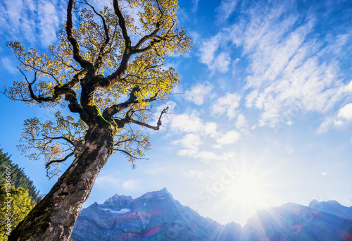 karwendel mountains photo