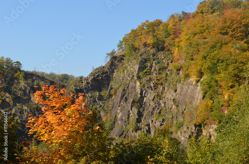 Autumn forest on rocky mountain slopes, Yvoir, Wallonia, the Ardennes