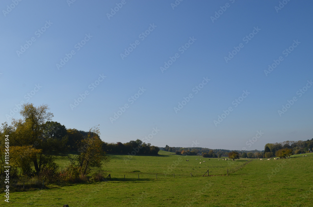 Rural area with autumn trees and green meadows on rolling hills, Yvoir, Wallonia