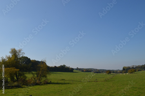 Fototapeta Naklejka Na Ścianę i Meble -  Rural area with autumn trees and green meadows on rolling hills, Yvoir, Wallonia