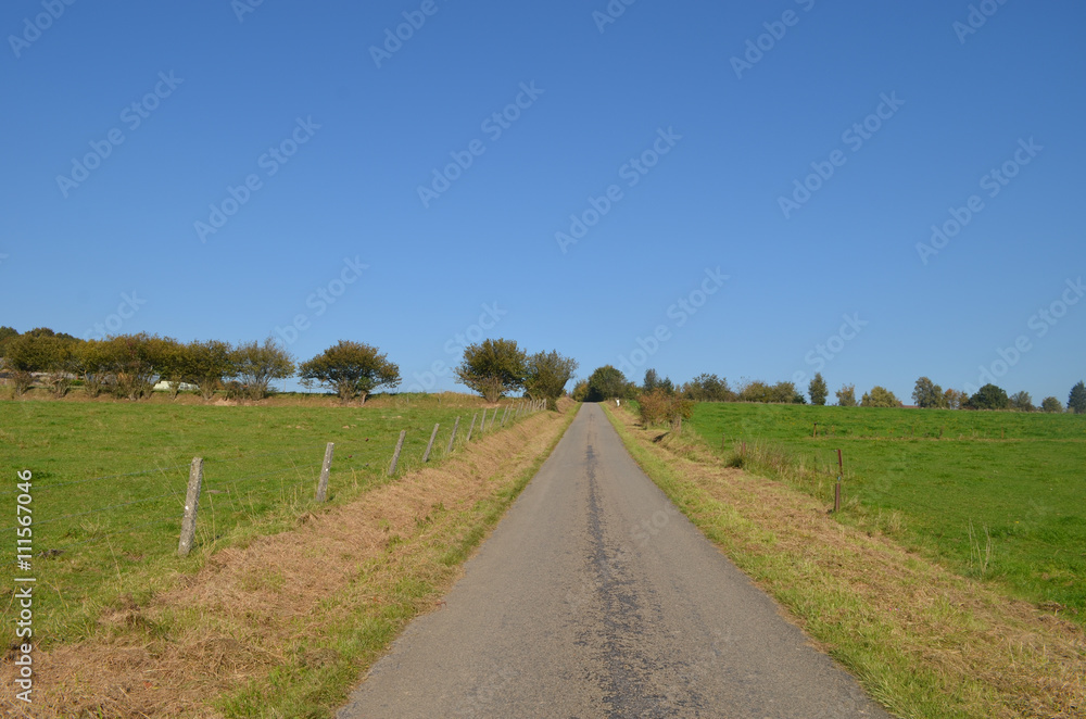 Asphalt road through rural area with trees and green meadows, Yvoir, Wallonia