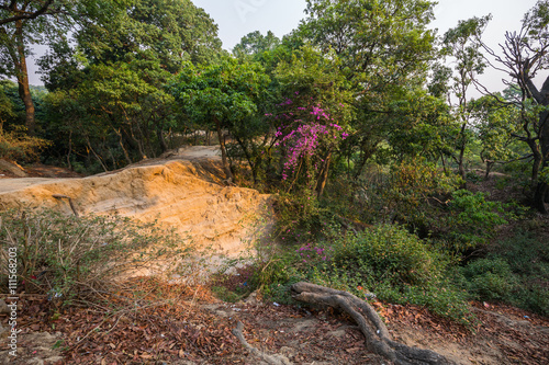 Park in Kathmandu