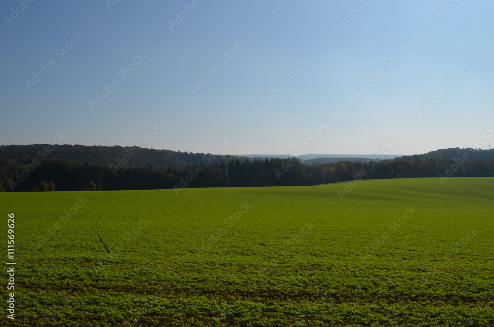 Green meadows with scattered trees on rolling hills in Wallonia, Yvoir