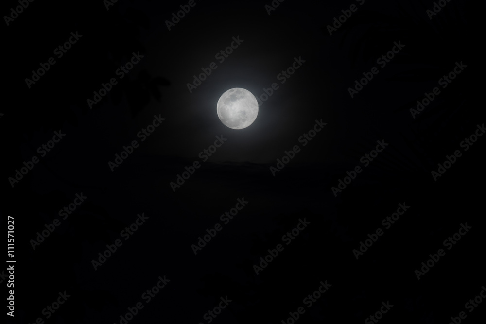 full moon night sky over spruce tree forest in Thailand.(Selecti full moon night sky over spruce tree forest in Thailand.(Selecti