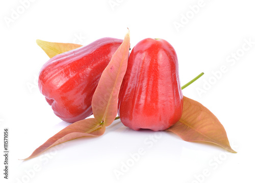 rose apple photo