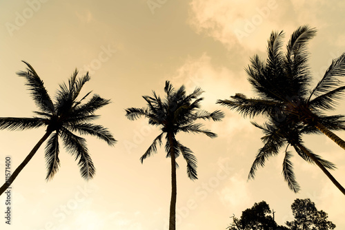Silhouette palm tree on the beach and sea around beautiful luxur