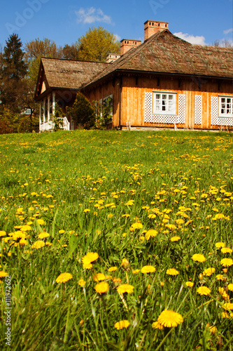 Rural landscape.Traditional wooden house and green flower field