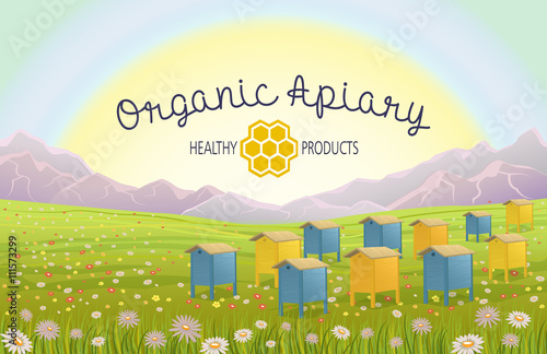 Apiary in alpine meadows in mountains. Honey Farm. Beehive set. Bee honeycomb. Rustic landscape. Fields of green grass. Production of natural organic products.
