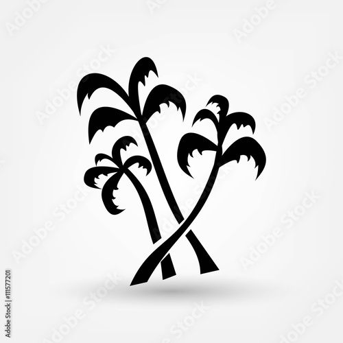 palm icon