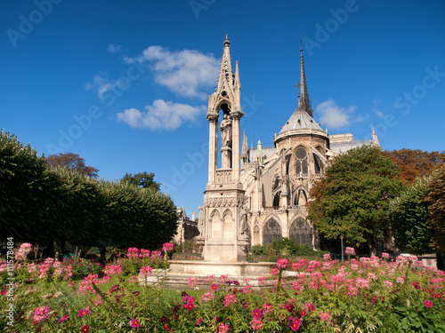 Notre Dame from Square du Jean XXIII, Paris. Horizontal shot, full length, flowers on foreground