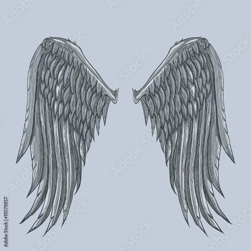 Vector sketch of two big white wing