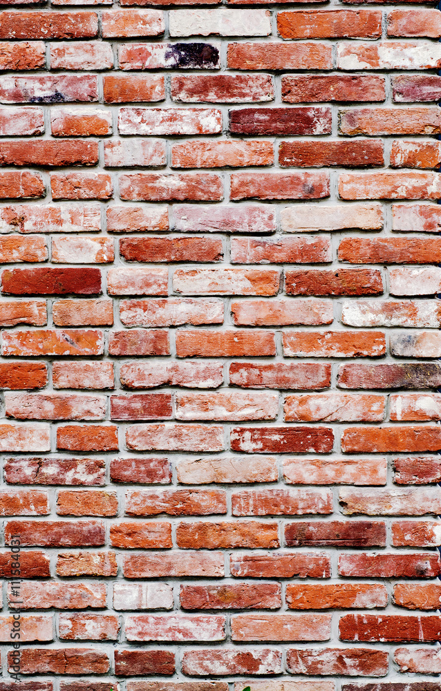 Obraz premium old red bricks wall background
