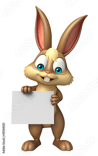 fun Bunny cartoon character with white board © visible3dscience