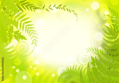 The background image of meadow flowers and herbs