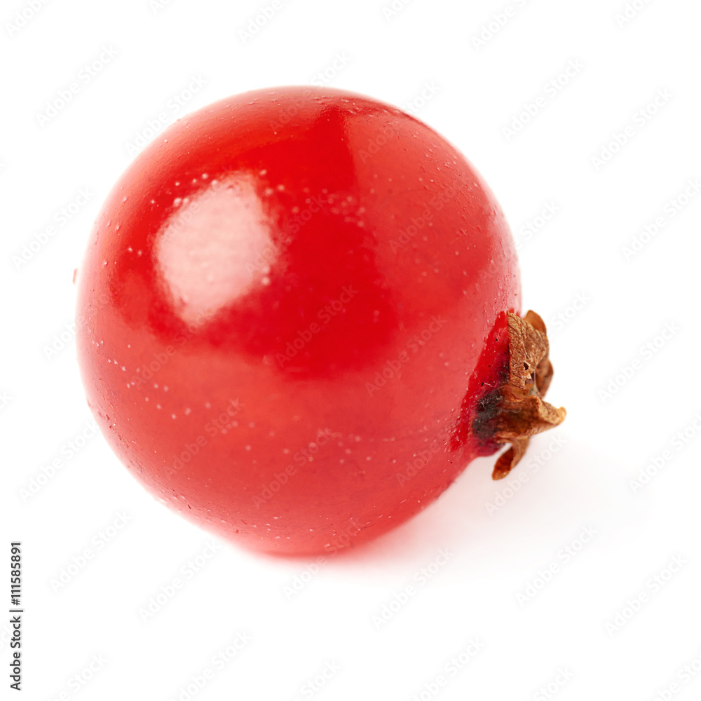 Single Red Currant isolated over white background Single Red Currant isolated over white background