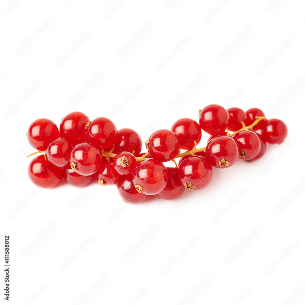 Red Currant isolated over white background Red Currant isolated over white background