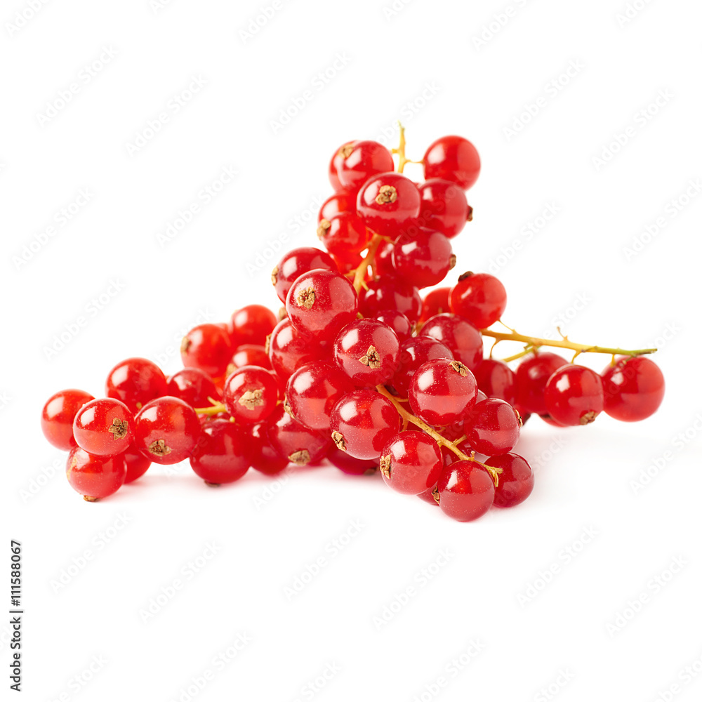 Red Currant isolated over white background Red Currant isolated over white background