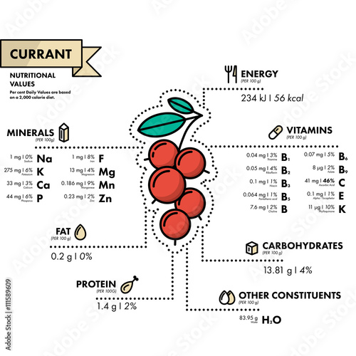Currant - nutritional information. Healthy diet.