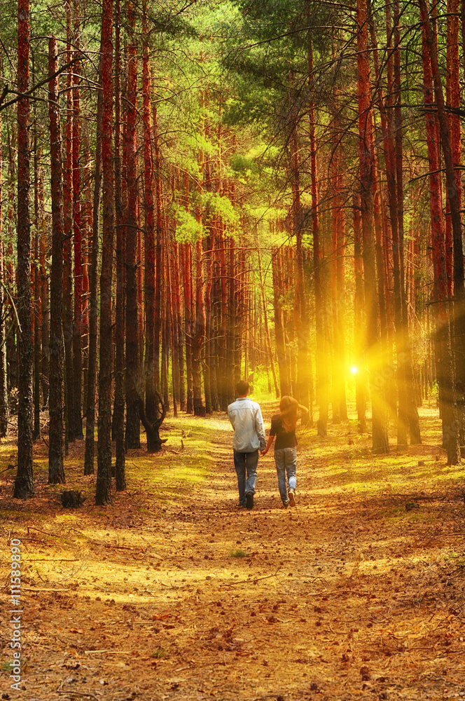 Fototapeta premium Girl with a guy holding hands stretching into the distance on a forest path in the pine forest. The slender trunks of pine trees, herb, soft sunlight of the setting sun through the trees, the rays. 