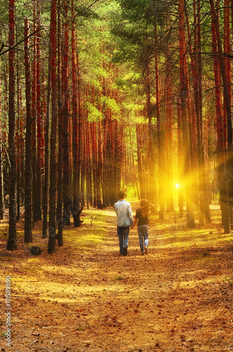 Girl with a guy holding hands stretching into the distance on a forest path in the pine forest. The slender trunks of pine trees, herb, soft sunlight of the setting sun through the trees, the rays. 