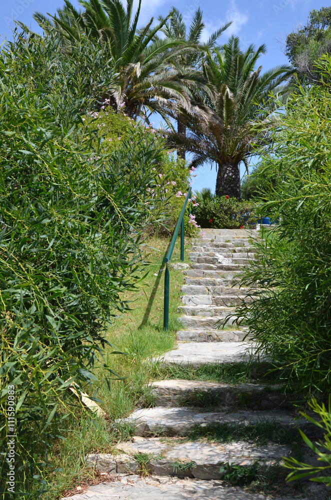 Fototapeta premium Stone steps in summer