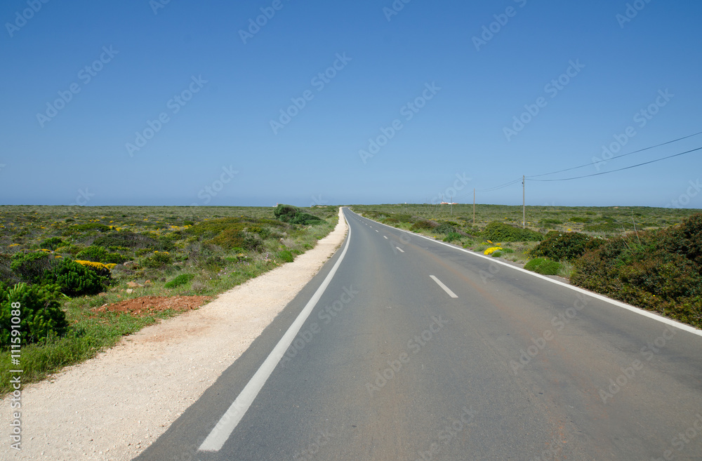 An empty road disappearing into the distance An empty road disappearing into the distance