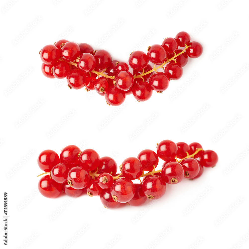 Set of Red Currant isolated over white background Set of Red Currant isolated over white background