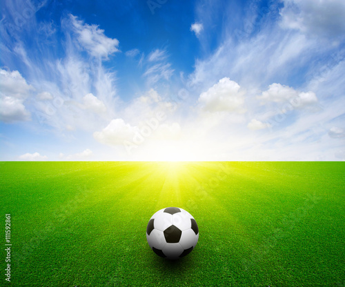 soccer ball on the grass © Alekss