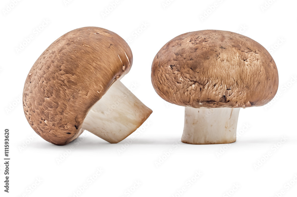Fresh raw brown champignons mushrooms on a white background Fresh raw brown champignons mushrooms on a white background