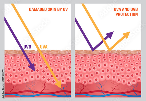 UV protection , uv a and uv b