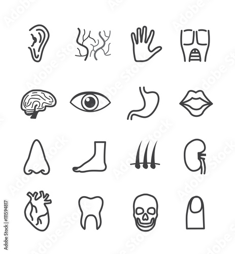 body Icons and logo with White Background , 16 body set