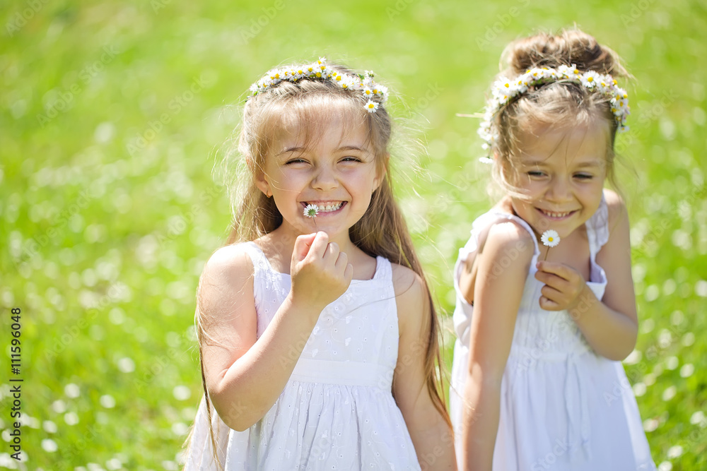 Fototapeta premium Happy kids are playing on the camomile field