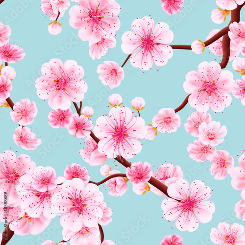 Carta da parati il sakura - Carta da parati Seamless of pink Sakura. EPS 10