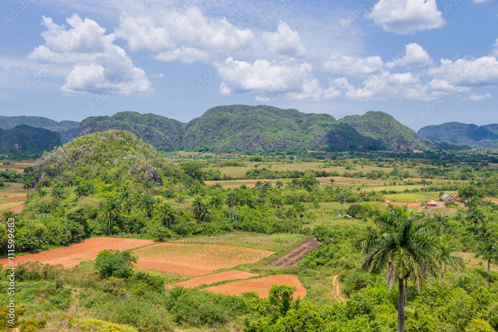 Panorama of Vinales Valley, Cuba