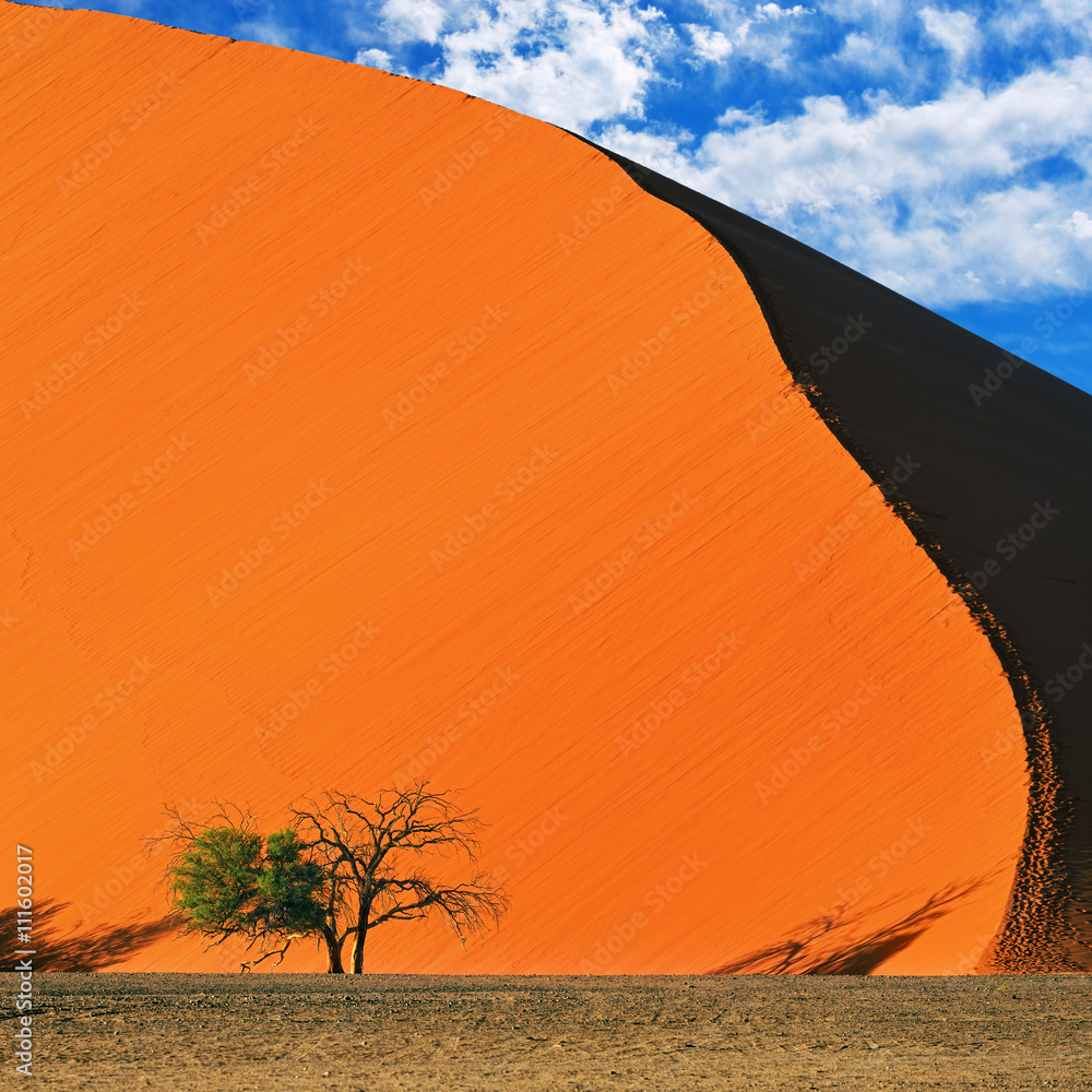 SOSSUSVLEI NAMIB NAUKLUFT NATIONAL PARK NAMIBIA visual data 4
