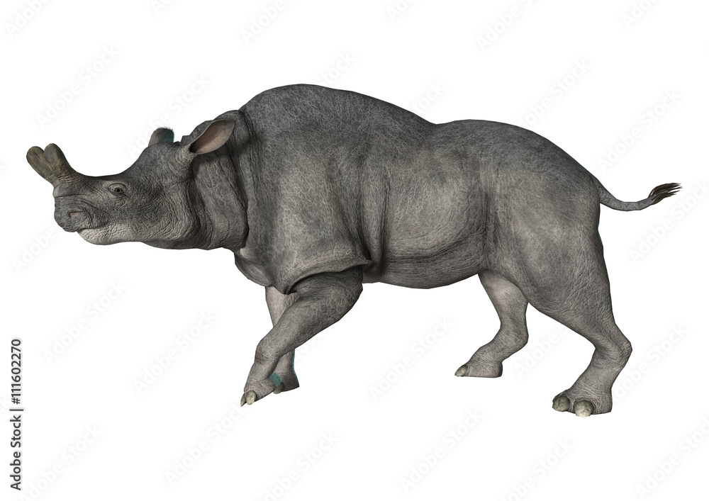 Obraz premium 3D Rendering Brontotherium on White