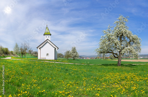 Oberhofenkapelle Orsingen im Frühling 