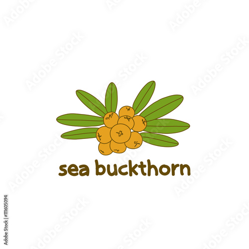 Logo buckthorn.