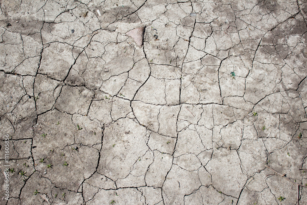 Fototapeta premium Dry cracked soil