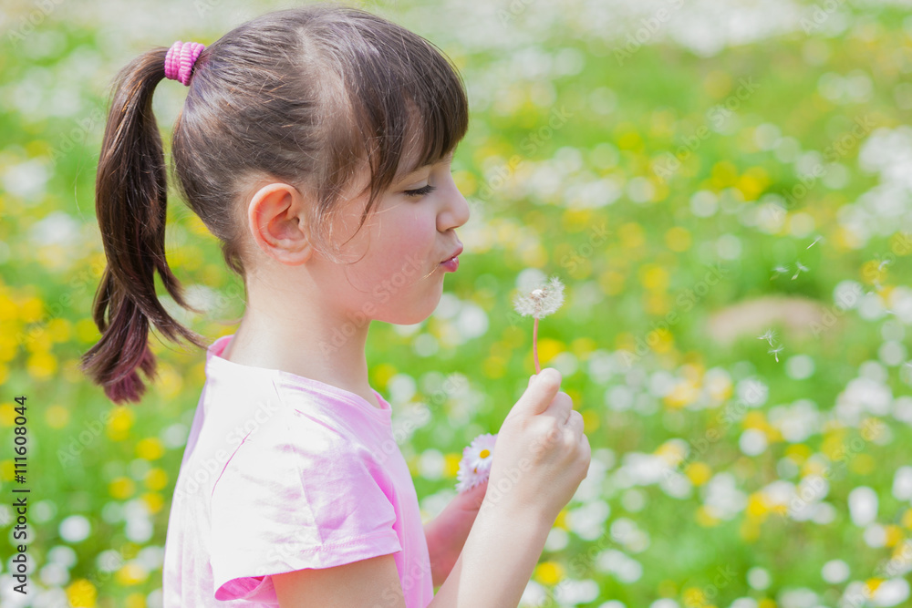 Child blowing dandelion Child blowing dandelion