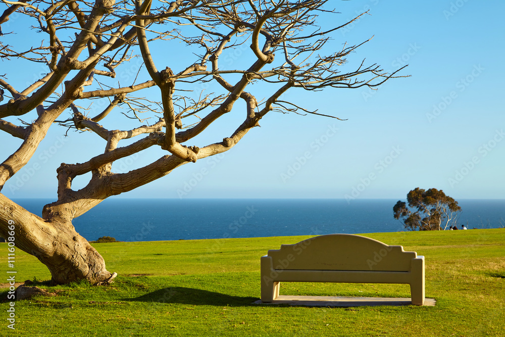 Bench on a hill near the ocean Bench on a hill near the ocean
