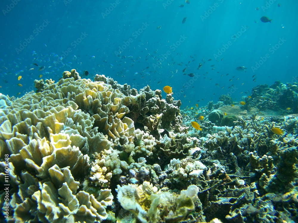 Naklejka premium Underwater landmark and part of the main land. Amed village, Bali, Indonesia