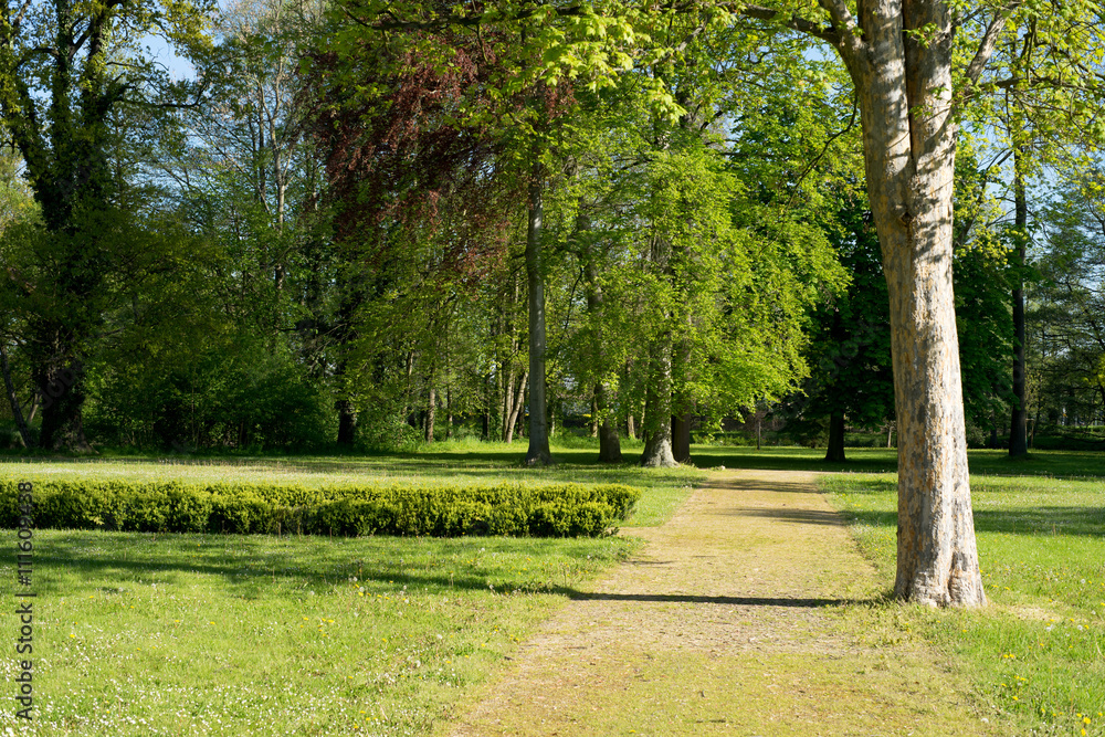 Garden Area / wonderful green garden area