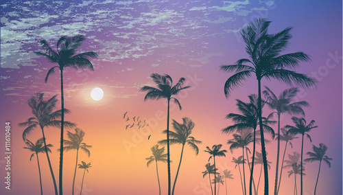 Fototapeta Naklejka Na Ścianę i Meble -  Exotic tropical palm trees  at sunset or moonlight, with cloudy sky. Highly detailed  and editable
