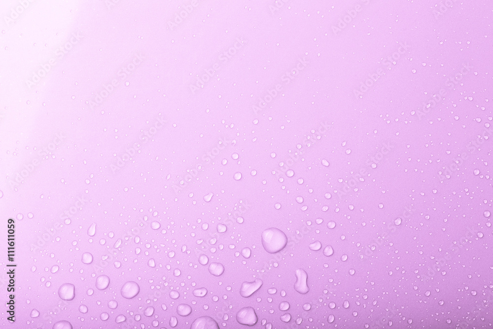 Drops of water on a color background. Pink. Shallow depth of fie