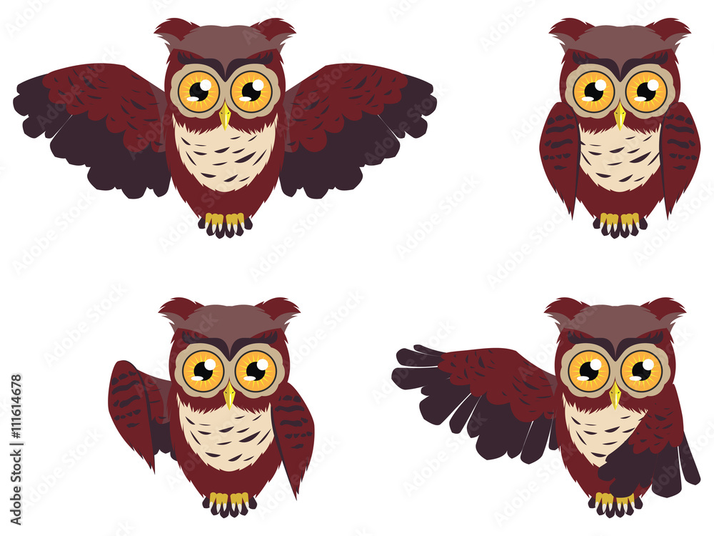 Obraz premium Brown Wise Owl