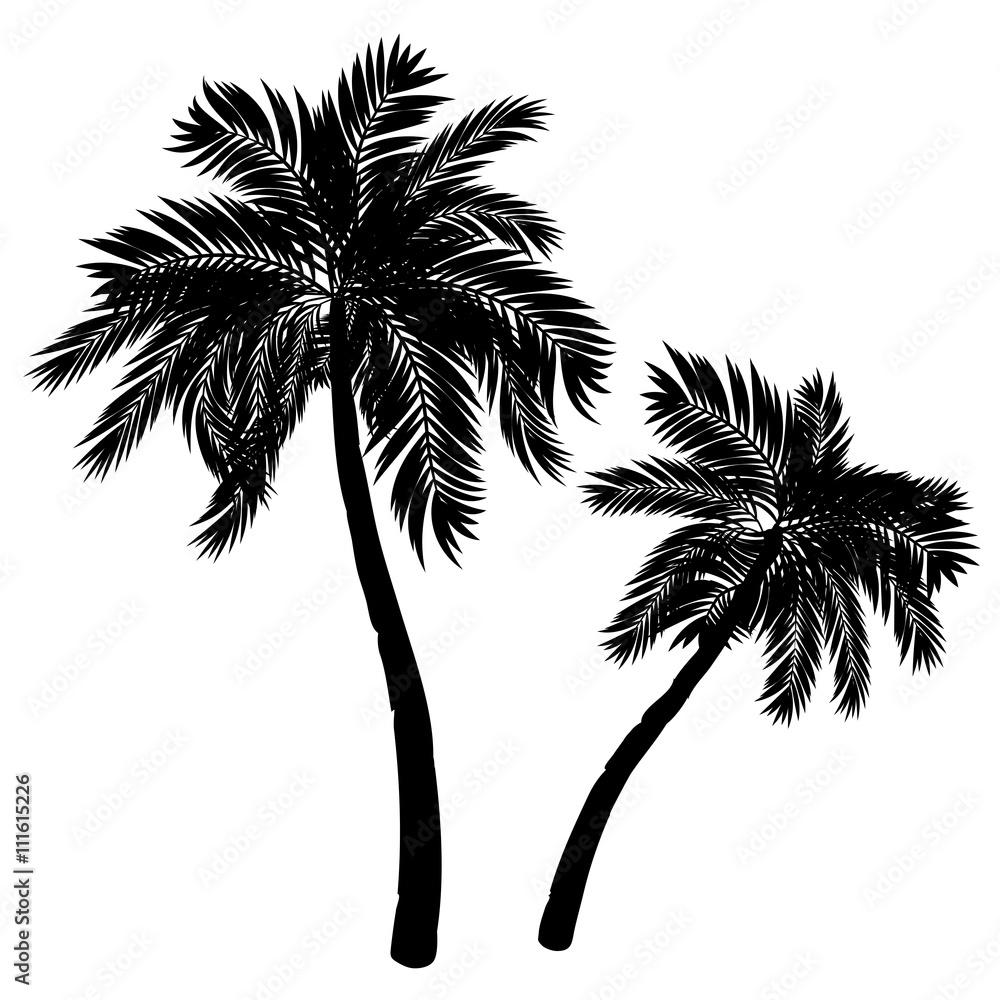 Obraz premium Palm Tree Silhouette