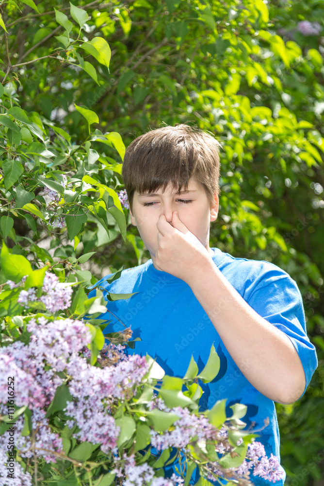 boy with allergic rhinitis near blossoming lilac boy with allergic rhinitis near blossoming lilac